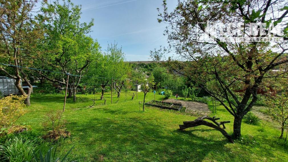 RODIACA ZÁHRADA S PEKNÝM VÝHĽADOM, KOŠICKÁ NOVÁ VES