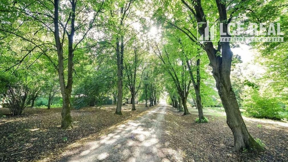 PENZIÓN S BUDOVAMI A VEĽKÝM POZEMKOM, SOMOTOR