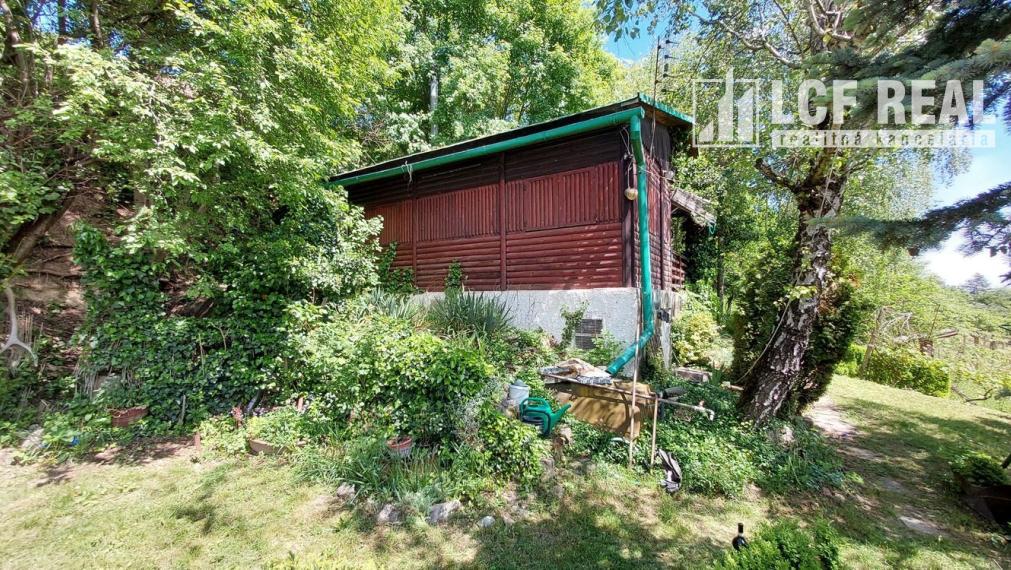 ZÁHRADNA CHATA S VINICOU, JABLONOV NAD TURŇOU