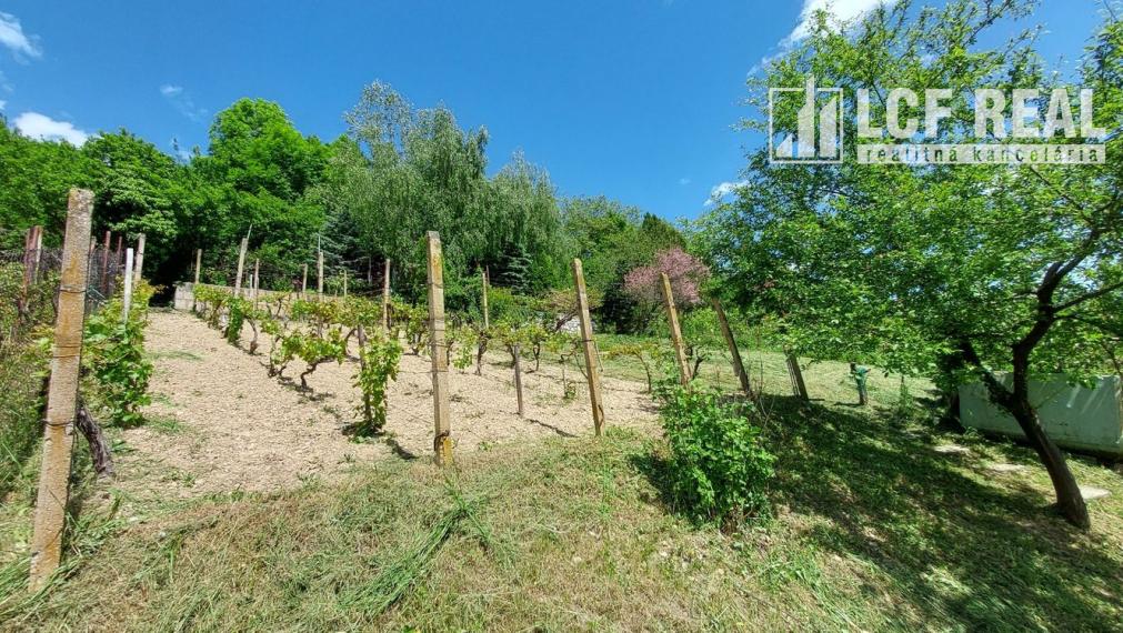 ZÁHRADNA CHATA S VINICOU, JABLONOV NAD TURŇOU