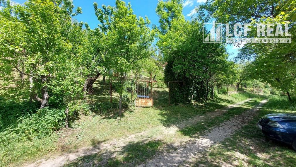 ZÁHRADNA CHATA S VINICOU, JABLONOV NAD TURŇOU