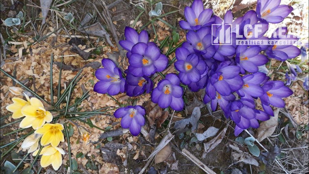 RODIACA ZÁHRADA S MUROVANOU CHATOU, KOŠICE - ŠACA 