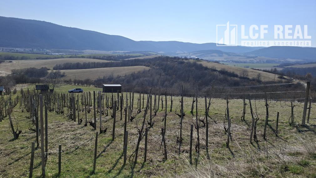 Pozemok s vinicou a pekným výhľadom, Jablonov nad Turňou