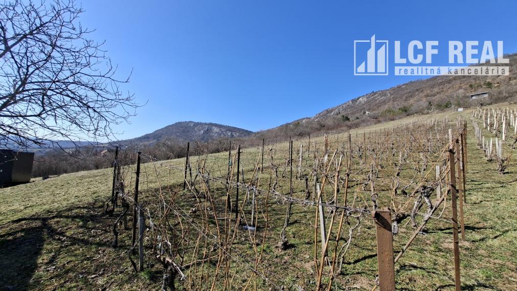 Pozemok s vinicou a pekným výhľadom, Jablonov nad Turňou