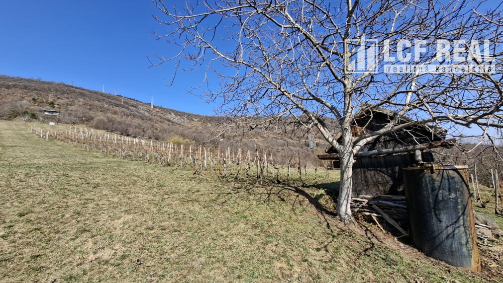 Pozemok s vinicou a pekným výhľadom, Jablonov nad Turňou