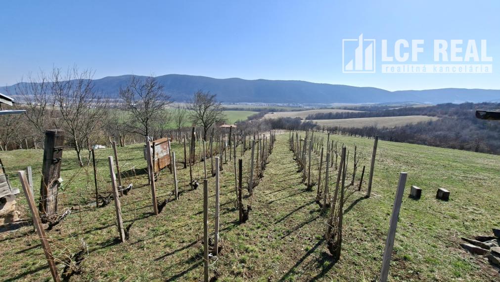 Pozemok s vinicou a pekným výhľadom, Jablonov nad Turňou