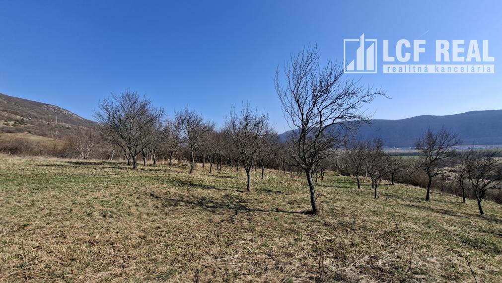 Pozemok s vinicou a pekným výhľadom, Jablonov nad Turňou