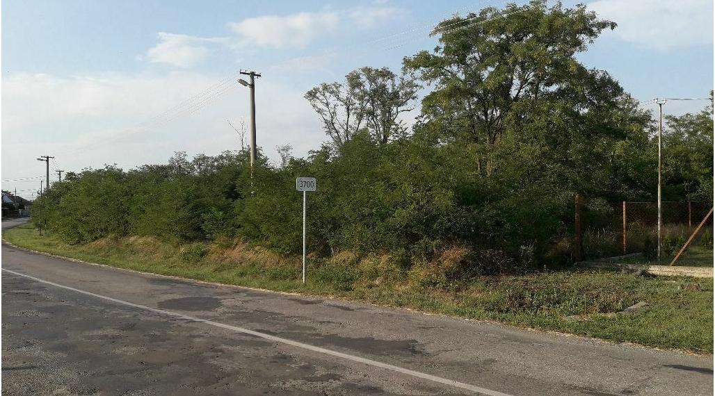 Veľký stavebný pozemok 3501 m2, Bačka