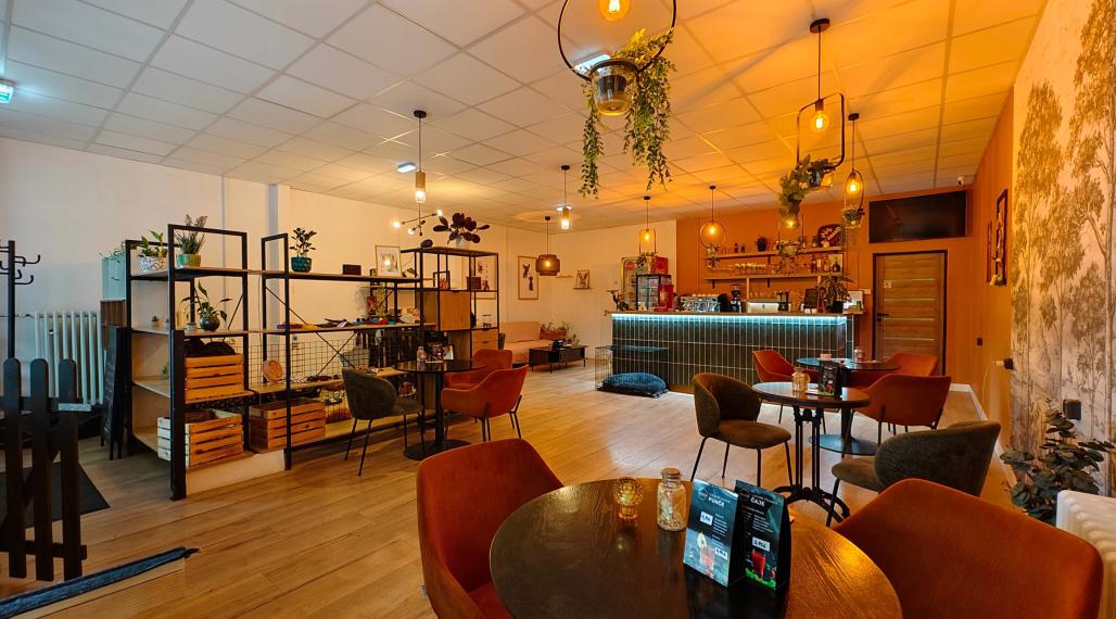 Odstúpenie kaviarne so zaujímavou koncepciou, Košice – Furča