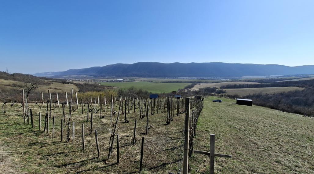 Pozemok s vinicou a pekným výhľadom, Jablonov nad Turňou