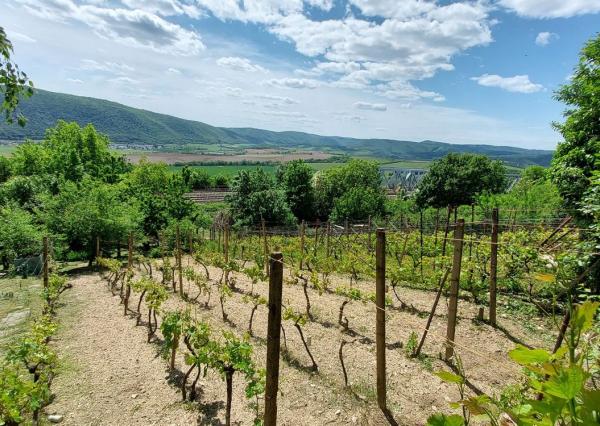 ZÁHRADNA CHATA S VINICOU, JABLONOV NAD TURŇOU