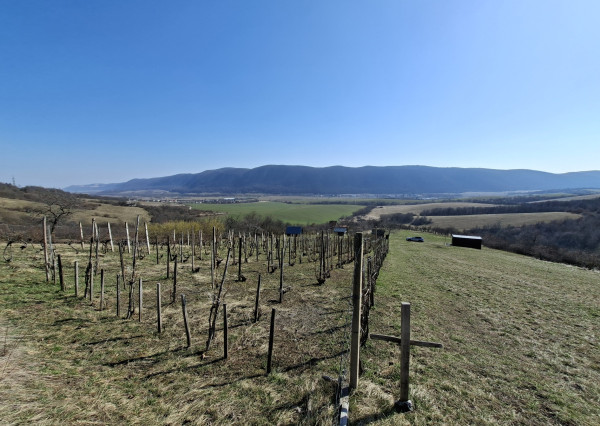 Pozemok s vinicou a pekným výhľadom, Jablonov nad Turňou