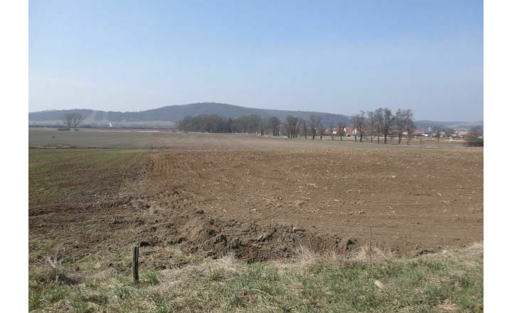 Predaj ornej pôdy s výmerou 40 869m2, Tornaľa - Starňa - fotografia 1