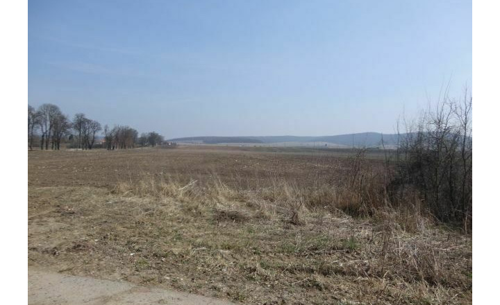 Predaj ornej pôdy s výmerou 40 869m2, Tornaľa - Starňa - fotografia 6