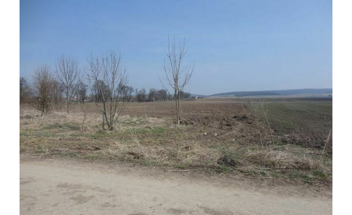 Predaj ornej pôdy s výmerou 40 869m2, Tornaľa - Starňa - fotografia 8
