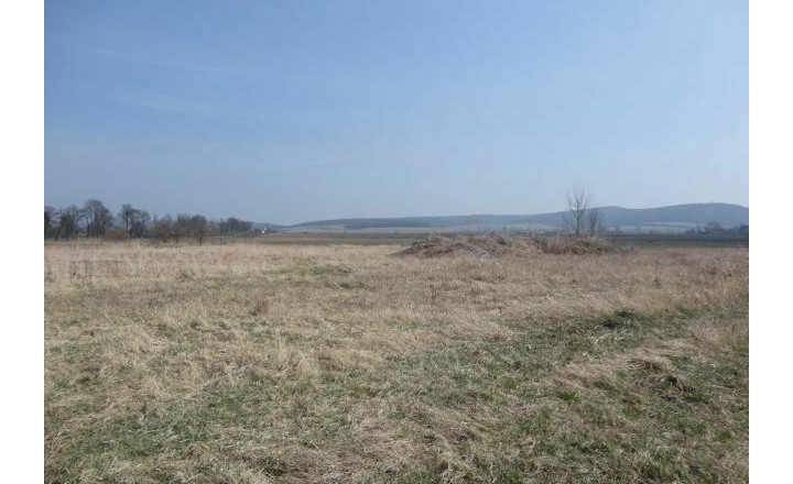 Stavebné pozemky s výmerou 8 714m2, Tornaľa - Starňa - fotografia 3