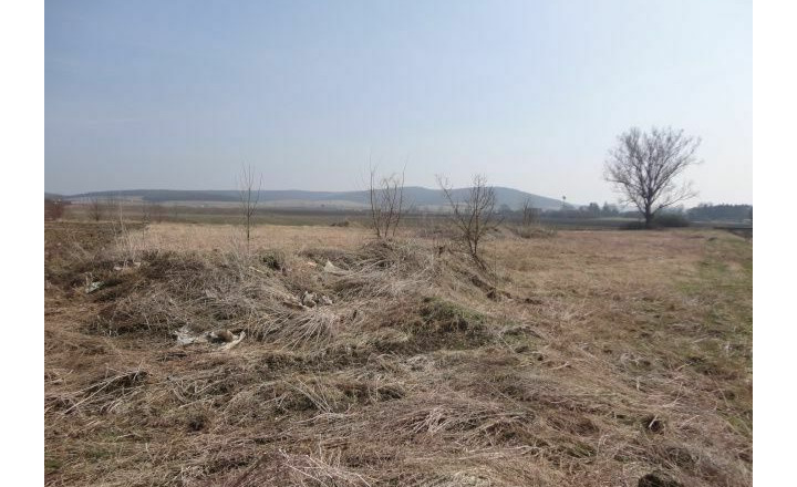 Stavebné pozemky s výmerou 8 714m2, Tornaľa - Starňa - fotografia 4
