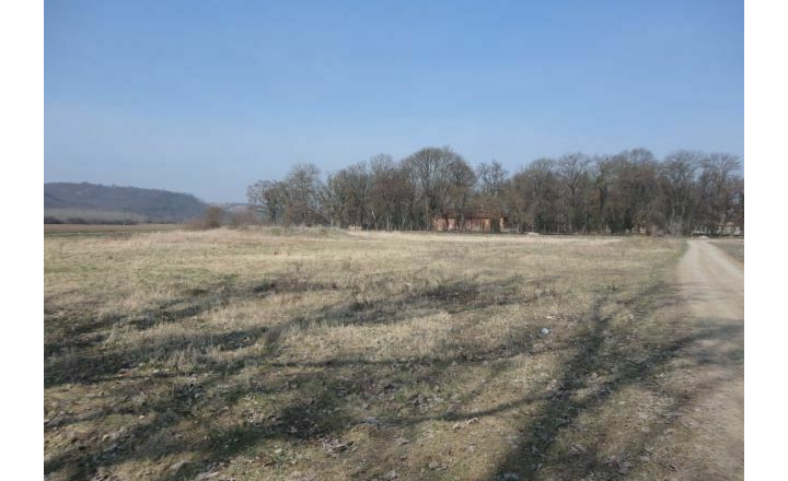 Stavebné pozemky s výmerou 8 714m2, Tornaľa - Starňa - fotografia 6