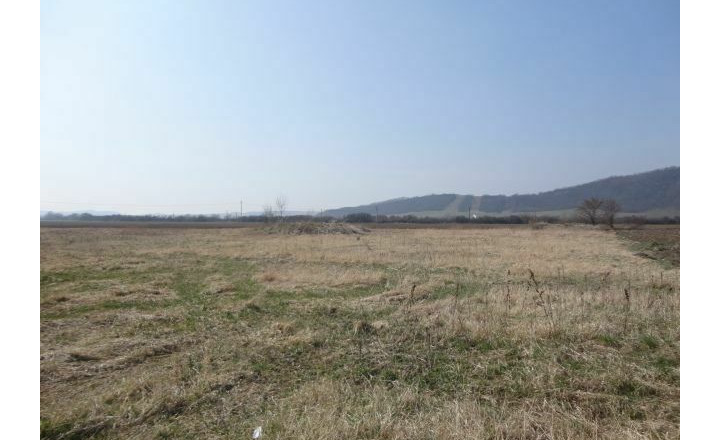 Stavebné pozemky s výmerou 8 714m2, Tornaľa - Starňa - fotografia 7