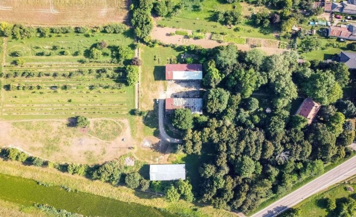 PENZIÓN S BUDOVAMI A VEĽKÝM POZEMKOM, SOMOTOR - fotografia 38
