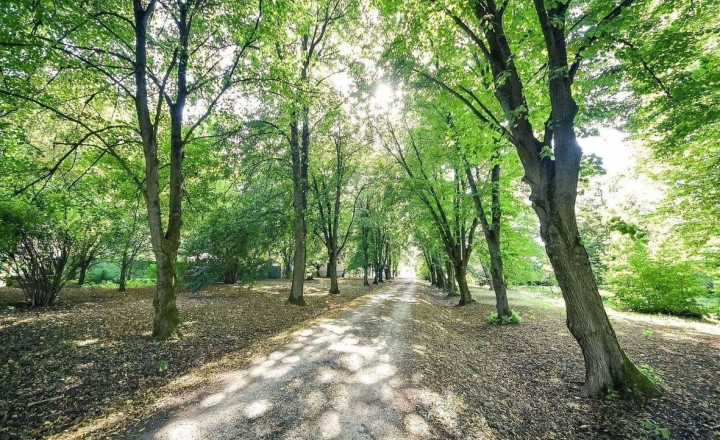 PENZIÓN S BUDOVAMI A VEĽKÝM POZEMKOM, SOMOTOR - fotografia 46