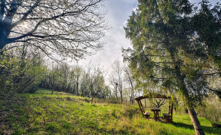 ZÁHRADNY POZEMOK S KRÁSNYM VÝHĽADOM, BYSTER - fotografia 10