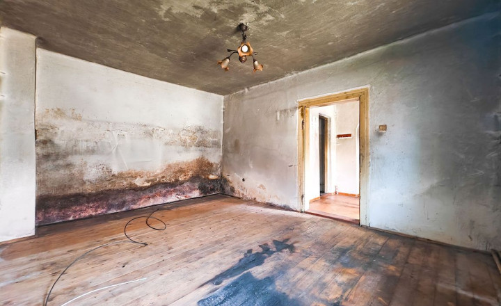 3-IZB. RD NA OKRAJI OBCE, KOJŠOV - fotografia 8