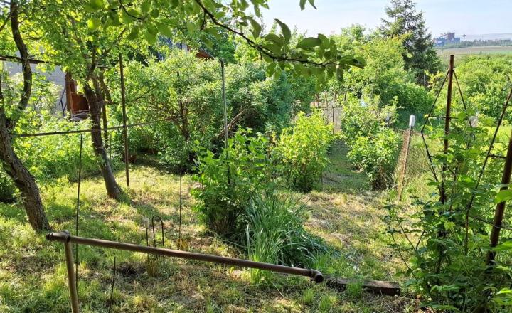 RODIACA ZÁHRADA S MUROVANOU CHATOU, KOŠICE - ŠACA  - fotografia 13
